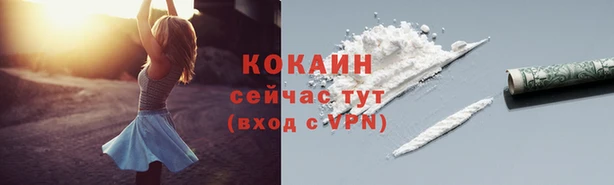 стаф Няндома