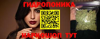 хмурый Гатчина