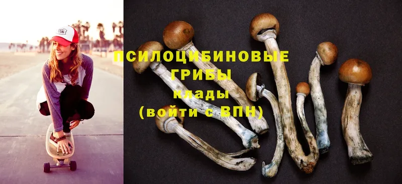 Псилоцибиновые грибы MAGIC MUSHROOMS  Крымск 