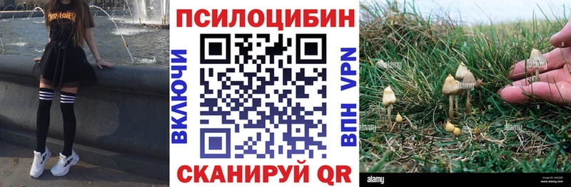 kraken сайт Крымск Псилоцибиновые грибы прущие грибы