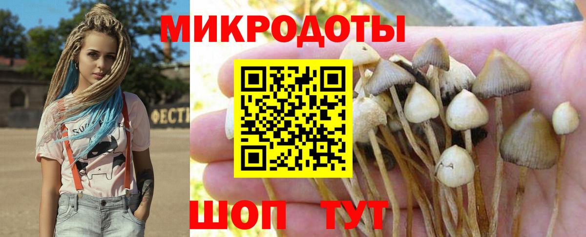 Галлюциногенные грибы прущие грибы Крымск