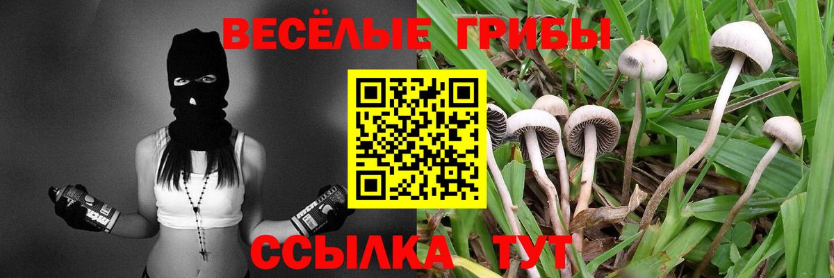 Крымск  купить наркотики цена  Вход с VPN  Псилоцибиновые грибы мухоморы 